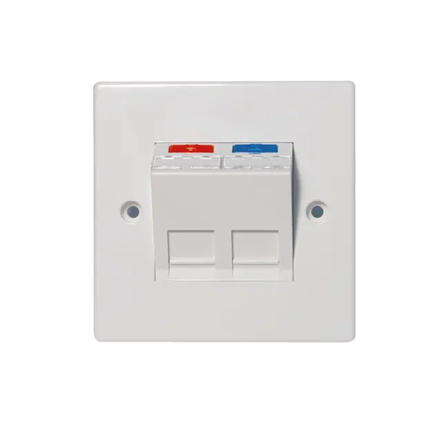 2-port CCS French type self-supporting faceplate for CCS jacks