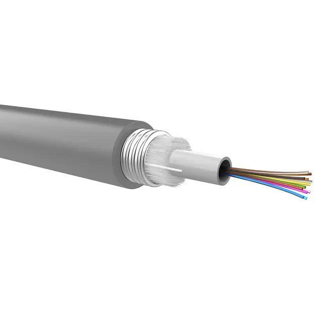 Optical loose cable to be pre-terminated, corrugated steel armour, 12 fibers 50/125, PE jacket