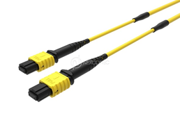 MTP/MPO TRUNKS BASE-12