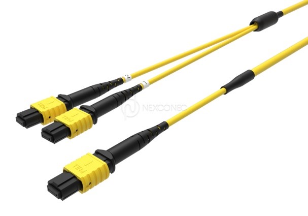 MTP®/MPO TRUNKS 1X(BASE-24) TO 2X(BASE-12) 