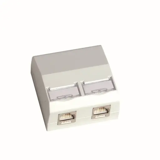 2-port wall mount box for CCS UTP/FTP jacks