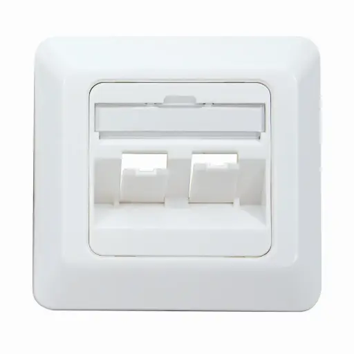 2-port CCS German type self-supporting faceplate with frame 80×80 mm for CCS UTP/FTP jacks