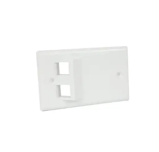 2-position faceplate standard 503