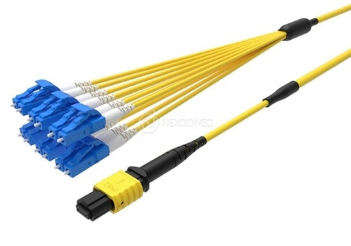 MTP®/MPO TO LC/SC FANOUTS BASE-12 