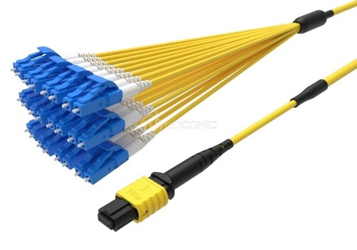 MTP®/MPO TO LC/SC FANOUTS BASE-24 
