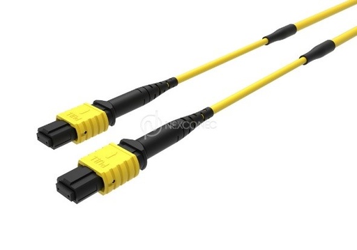 MTP®/MPO SLIM TRUNKS BASE-8 & BASE-12 
