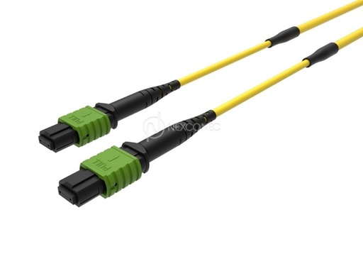 MTP®/MPO QSFP 40G TRUNKS BASE-8 