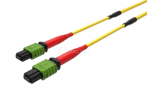 MTP®/MPO TRUNKS BASE-24 