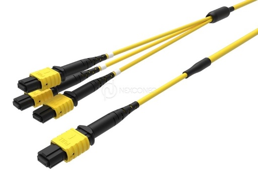 MTP®/MPO TRUNKS 1X(BASE-24) TO 3X(BASE-8) 