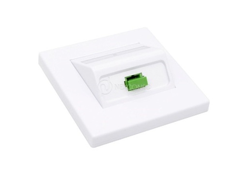 FIBER FACEPLATE - WO06/07 